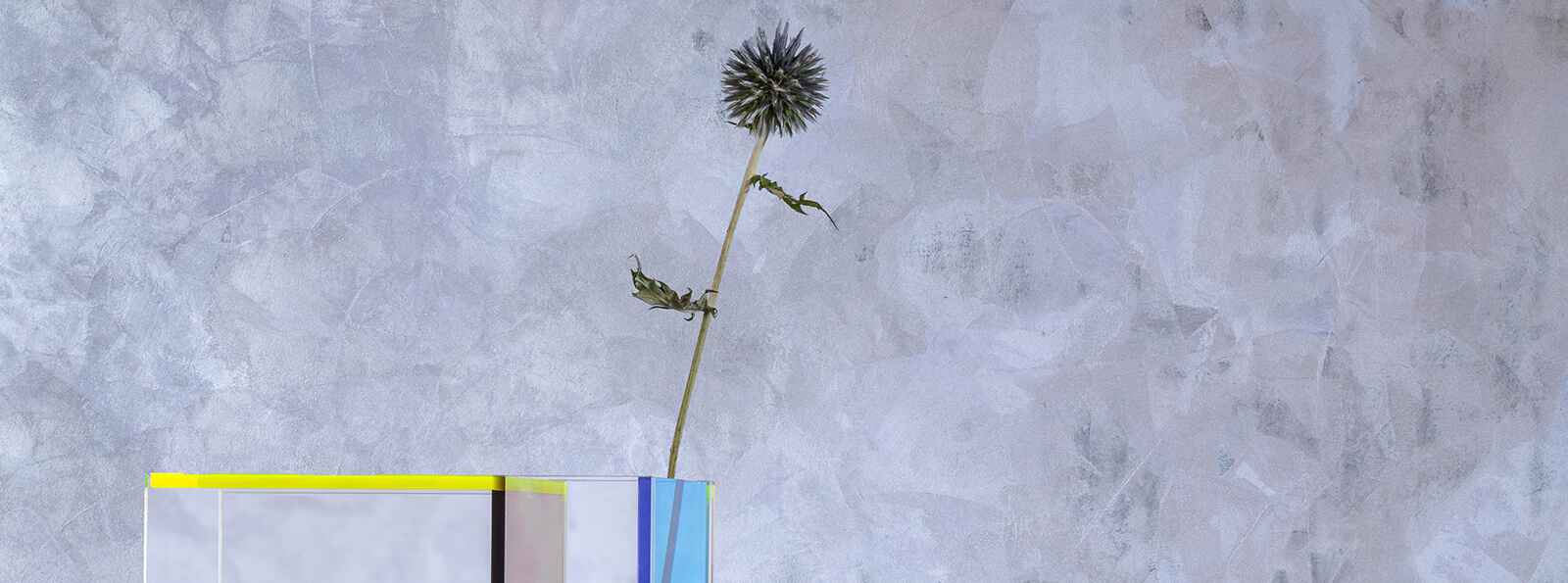 Wandgestaltung: Trend Farbe 2025 Cosmic Light